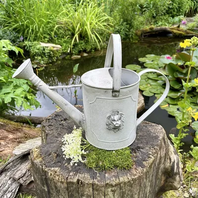 Produktbild von Gießkanne aus Eisen, Grau, Strukturiert, Löwe