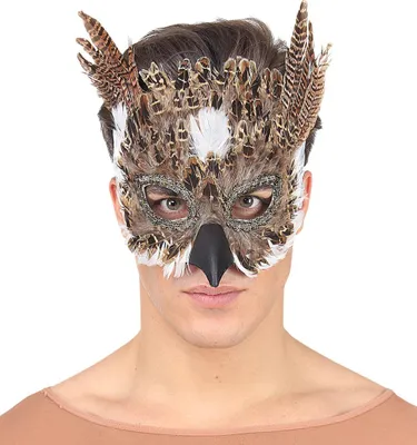 Image de "Masque De Hibou En Plumes"