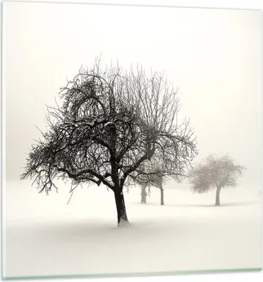 Produktbild von Bilder auf glas - Einteilig - Bäume Schnee Nebel - 60x60cm - Glasbilder - Wandbilder - Bilder - zum Aufhängen bereit - Wanddekoration aus Glas - Glas Bilder - Wandbild auf Glas - GAC60x60-4136