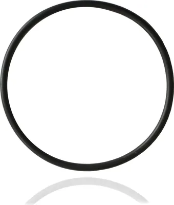 Produktbild von Dichtung Dichtungsring ORing Dichtring für Gehäuseverschraubung Intex 602 [1.250 l/h]