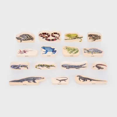 Obrázok produktu pre Tickit Wooden Reptile & Amphibian Blocks, 0 rok / roky, 15 kusov, Drevo