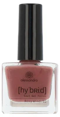 Produktbild von alessandro Hybrid Colour Rosy Wind, Rose, 1 Stück(e)