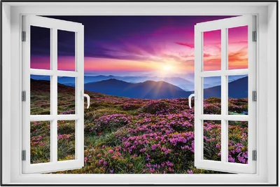 Produktbild von Wallario Wandbild mit Fenster-Illusion: Blumenbedeckte Wiese bei Sonnenuntergang, Größe: 61 x 91,5 cm, Poster mit schwarzem Aluminiumrahmen