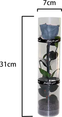 Produktbild von Eine echte konservierte Rose, eine ewig haltbare Rose, eine langlebige Rose, eine ewig blühende Rose