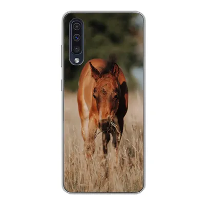 Produktbild von MuchoWow® Handyhülle Schutzhülle Hülle für Samsung Galaxy A30s Pferd - Sonne - Landschaft Silikon Softcase Handy Hülle - Karteninhaber