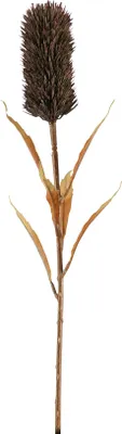 Produktbild von Fink SCHILFKOLBEN, Kunstblume, Kunstfasern, braun, H. 77 cm 181062