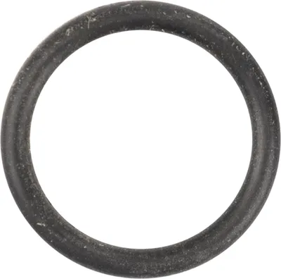 Produktbild von Alfa Romeo Fiat Wasserpumpendichtung 71751497
