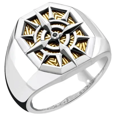 Produktbild von Thomas Sabo - TR2278-849-7-54 - Uni-Ring - Silber vergoldet - REBEL AT HEART - Weite 54