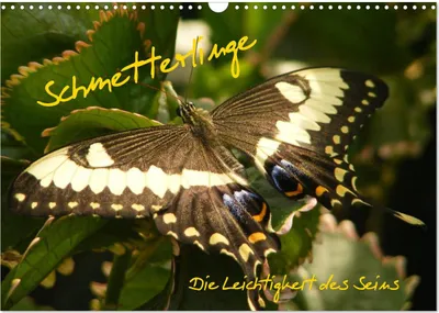 Produktbild von Schmetterlinge (Wandkalender 2025 DIN A3 quer), CALVENDO Monatskalender