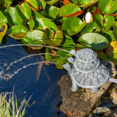 Produktbild von esotec Solar Wasserspeierset Schildkröten Trio, Teichpumpenset, Polyresin 101686