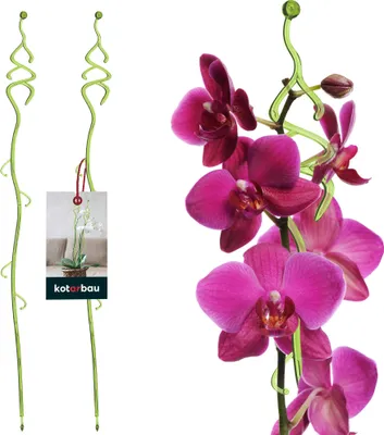 Produktbild von KOTARBAU® 2er Set Pflanzenstütze Grün PVC 55 cm Tannenbaum Blumenstütze Rankhilfe Zimmerpflanzen Blumenstütze Garten Orchideenstab Stützstab Pflanzen dekorative Pflanzenhalter Zimmerpflanzen Rankstäbe