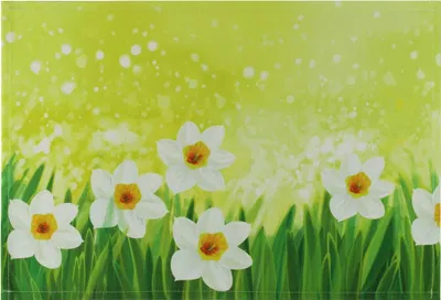 Produktbild von Tischset Platzset MOTIV Ostern Osterglocken Blumen