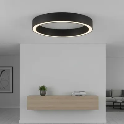 Productafbeelding van Design plafondlamp Sting zwart Ø 60cm