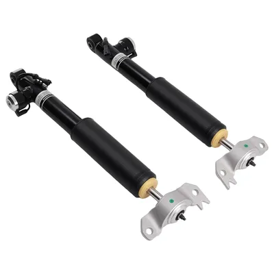 Image de 2 amortisseurs arriššre pour Opel Insignia A G09 Flexride 22834093 22834094
