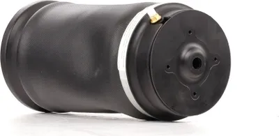 Produktbild von RIDEX 4118A0014 Luftfederbein Stoßdämpfer Vorne Rechts passend für MERCEDES-BENZ E-Klasse Limousine (W211) E-Klasse T-modell (S211) CLS (C219)