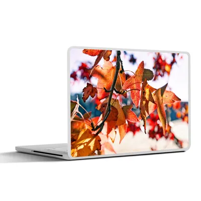 Produktbild von MuchoWow® Laptop Aufkleber Sticker Cover Ahorn - Blätter - Rustikal - Herbst 30x21 cm - Sticker für Laptop - Selbstklebend
