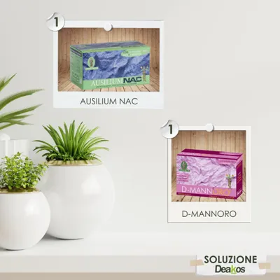Produktbild von REISE-LÖSUNG für Personen, die an Blasenentzündung leiden
