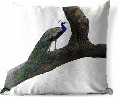 Produktbild von MuchoWow® Outdoor Kissen - Pfau - Baum - Blau - 40x40 cm - Wetterfest - Lounge Kissen - Kopfkissen - Interieur - Polster mit Bild