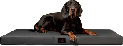 Productafbeelding van tierlando® Orthopedisch hondenbed ALICE EASY CLEAN, kunstleer, afmetingen: 100x80 cm | Kleur: 02 Grafiet