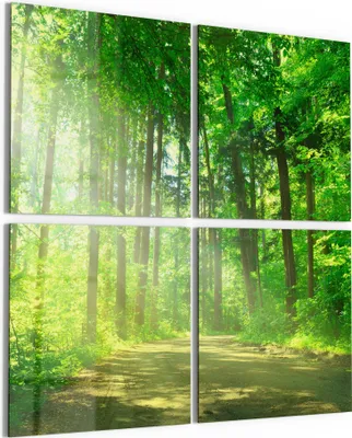 Produktbild von DEQORI Glasbild Echtglas 4x50x50 cm 'Idyllische Waldkulisse' Wandbilder XXL groß