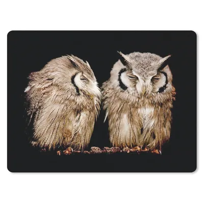 Produktbild von MuchoWow® Mauspad Mousepad Eule - Vogel - Schwarz 40x30 cm - Mousepads - Maus Mat - Pad - Mausunterlage - Anti Rutsch