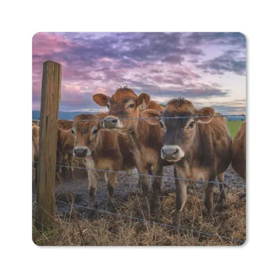 Produktbild von MuchoWow® Mauspad Mousepad Kuh - Tiere - Kühe 30x30 cm - Mousepads - Maus Mat - Pad - Mausunterlage - Gaming