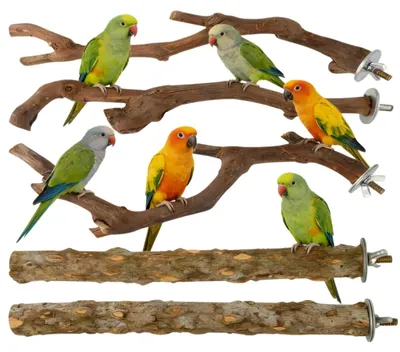 Productafbeelding van Zitplank Set van 2 - Vogelkooi Accessoires - Parkieten/Valtparkiet - Hazelnoothout - 10 x 20 cm - Speelplaats voor Vogels - Vogelzitplank