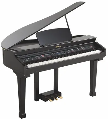 Produktbild von Digitalpiano Grand 120 Serie, 88 Tasten, Fatar-Hammermechanik, Schwarz