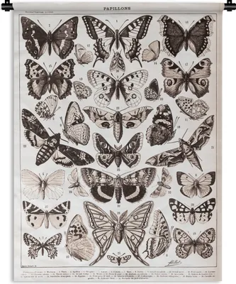 Produktbild von MuchoWow® Wandteppich Wandbehang Schmetterling - Tiere - Schwarz - Weiß 150x200 cm Tapisserie Dekoration Wandtuch - Wandaufhängung - Moderner