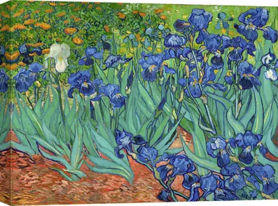 Obrázek produktu pro Obraz na plátně - Vincent van Gogh, Kosatce - 100x70 cm