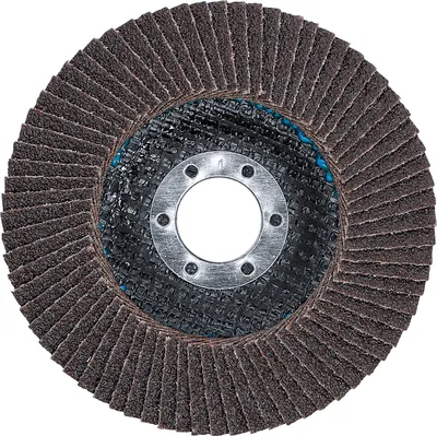 Image de BGS Disque abrasif en éventail Ø 115 mm K 60 - 3973