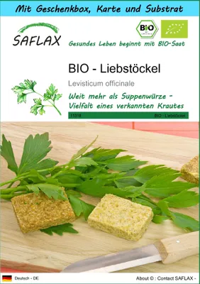 Produktbild von SAFLAX - Geschenk Set - BIO - Liebstöckel - 100 Samen - Mit Geschenk- / Versandbox, Versandaufkleber, Geschenkkarte und Anzuchtsubstrat - Levisticum officinale
