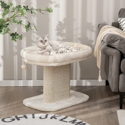 Produktbild von COSTWAY Kratzbaum Klein, 50cm hoch, Katzenbaum mit weicher Plüschsitzfläche & Sisal-Kratzsäule & Ball, Katzenkratzbaum Holz, Katzen Katzenmöbel Kletterbaum, Aktivitätsbaum Spielbaum (Beige)