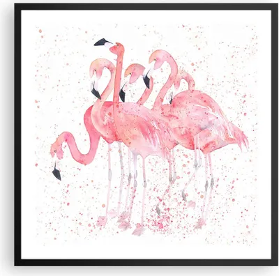 Produktbild von Gerahmtes Poster - Schwarzer Rahmen - Flamingo Vogel Wasser - 60x60 cm - Wand Bild - Wanddeko - Wandbilder - Kunstposter - Wandposter - Bilderrahmen - Bilder - Kunstdruck - Wandbild - P2BAC60x60-3899