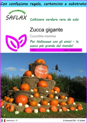Immagine prodotto di SAFLAX Set regalo - Zucca gigante  - 7 semi - Cucurbita
