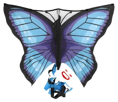 Produktbild von TEDDIES Fliegender Drache Schmetterling 100x70cm