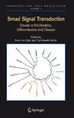 Produktbild von Smad Signal Transduction