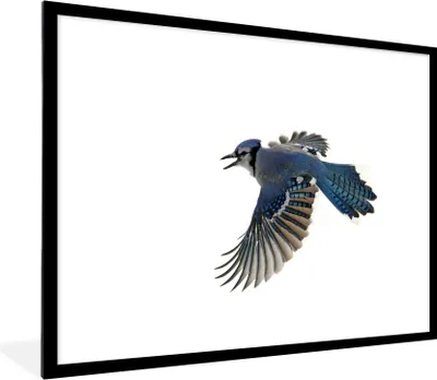 Produktbild von MuchoWow® Gerahmtes Poster Vogel - Federn - Weiß 80x60 cm - Poster mit Schwarzem Bilderrahmen Wandposter Rahmen Foto Bilder - Schlafzimmer-Dekorationen - Fotoposter