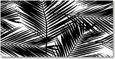 Produktbild von Tulup® Glas-Bild - 100x50 -Wandkunst - Wandbild hinter gehärtetem Sicherheitsglas  - Blumen & Pflanzen - Blätter der Palme - Schwarzweiß