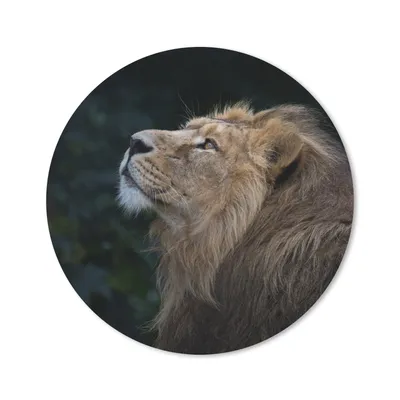 Produktbild von MuchoWow® Mauspad Mousepad Löwe - Schwarz - Dschungel 50x50 cm - Mousepads - Maus Mat - Pad - Mausunterlage - Vinyl