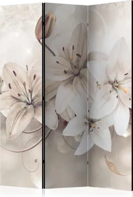 Productafbeelding van Drieluik, enkelzijdig, vliesbehang roomdivider - Diamond Lilies, 135x172 cm, bloemen, b-A-0285-z-b