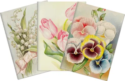 Image de Set de trois carnets Pastel Spring