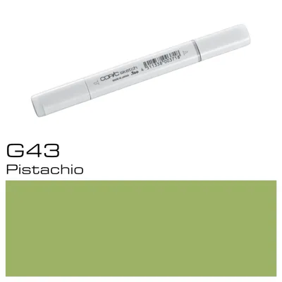 Zdjęcie produktu dla COPIC Sketch Marker G43 - Pistacjowy
