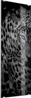 Produktbild von DEQORI Kleiderhaken aus Glas 50x125 cm 'Leopard mit blauen Augen' Wand Garderobe Haken