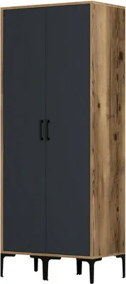 Immagine prodotto di Dmora Guardaroba 2 Ante Acate 47.5x201.4h cm Nero Antracite, Appendiabiti 2 Ante