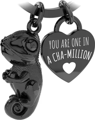 Produktbild von LANOLU Schlüsselanhänger Chameleon, Glücksbringer Schlüsselanhänger Partner und für beste Freundin, Paar Geschenk Freund aus Metall