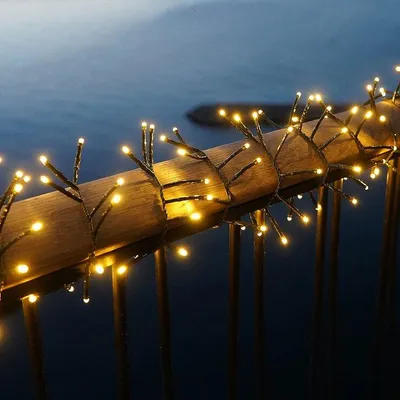 Image de Sirius LED Guirlande lumineuse Easy-Line Cluster 1000 LED blanc chaud extérieur 20 m vert