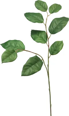 Produktbild von artplants.de Deko Apfelbaumzweig Konstantin, grün, 75 cm - Künstlicher Blätterzweig