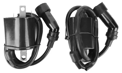 Immagine prodotto di Gruppo bobina di accensione in 2 pezzi, compatibile con XVS1100 V-STAR 1999–2009, 5EL-82320-00-00