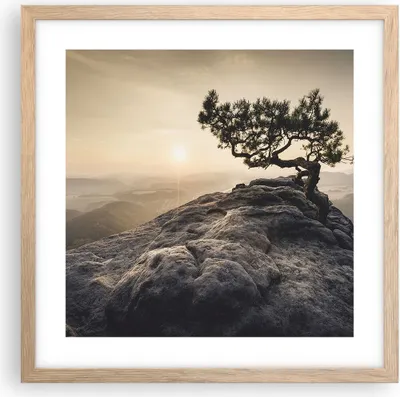 Produktbild von Gerahmtes Poster - Rahmen in heller Eiche - Alt Kiefer Berge - 40x40 cm - Wand Bild - Wanddeko - Wandbilder - Kunstposter - Wandposter - Bilderrahmen - Bilder - Kunstdruck - Wandbild - P2NAC40x40-4334